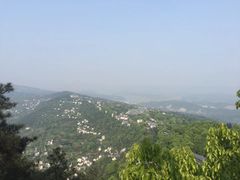 -大金鹰园