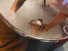 -PETKIT小佩宠物·低压洗护(国顺东路店)