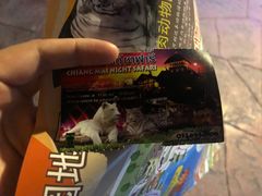 -清迈夜间动物园