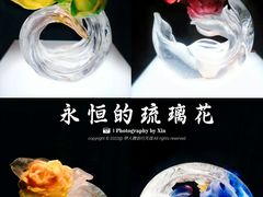 -上海琉璃艺术博物馆