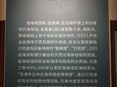 -天津古林古海岸遗迹博物馆