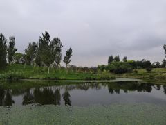 -东郊湿地公园