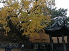 -无锡惠山寺