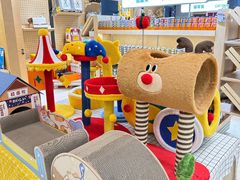 -帕帕拉兹宠物(亚洲旗舰店)