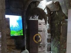 -暴风岛沉浸式体验馆(百联世纪店)