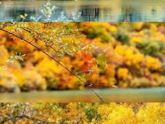 -叠溪松坪沟景区