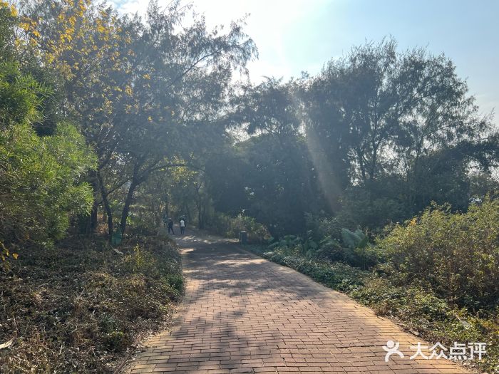 漳州滨海火山岛自然生态风景区图片