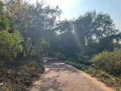 -漳州滨海火山岛自然生态风景区