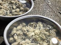 生蚝-花苑美食横琴生蚝火锅(拱北粤华路店)