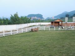 -光明农场大观园