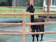 -雪浪山卡丁车俱乐部
