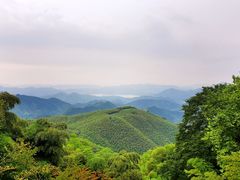 -莫干山风景区