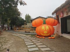 -HERRE·FARM 赫尔露营农场·团建聚会包场