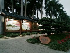 -金花茶公园