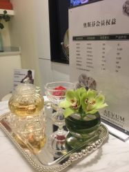 -奥斯芬欧系贵族SPA
