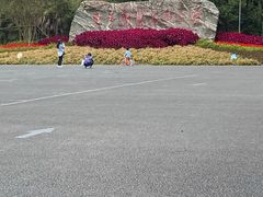 -东平国家森林公园