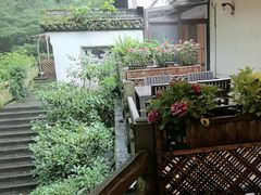 -宋宴(虎跑店)