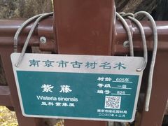 -郑和公园