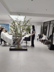 -付军剪艺JF ProSalon