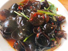 木耳-霸道川面馆(张江店)