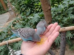 -南宫五洲植物乐园
