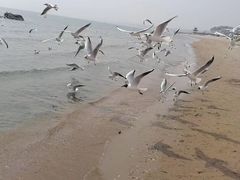 -老虎石海上公园