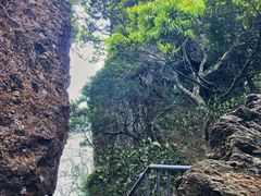 -七仙岭温泉国家森林公园