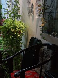 -新龙门刺青·纹身