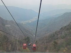 -王顺山国家森林公园