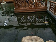 -汤山翠谷生态餐厅