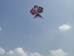 -滆湖低碳生态公园