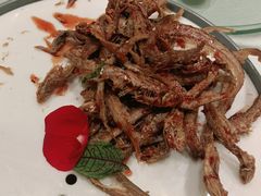 -解家河南菜(金水路店)