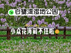 -白鹭湾湿地公园