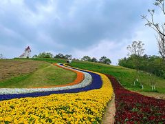 -黄龙溪欢乐田园