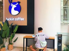 -瑞幸咖啡(大都会东方广场店)