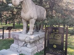 -北陵公园