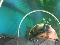 -瑞德姆美人鱼海底演艺主题餐厅(亚龙湾店)