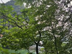 -柳侯公园