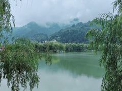 -后柳水乡