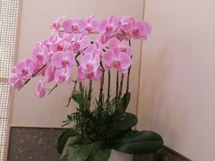 -茹·pure vegan(博华广场店)