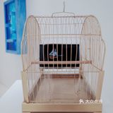 魔都探展｜把自己关在木箱里 Marck‘s Rock Box