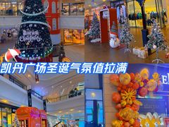 -大连凯丹广场