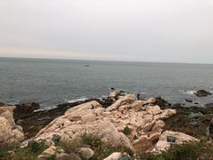 -养马岛旅游度假区