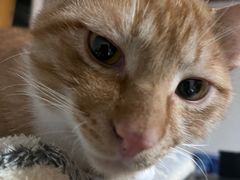 -天天玩X秋葉原日系动漫游戏中心