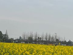 -蜀绣公园