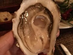 -斯普汇生蚝牛排馆(中骏世界城店)