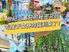 -上海世纪汇广场