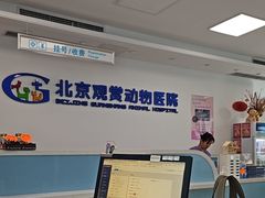 -北京观赏动物医院·24小时大型综合·猫专科·异宠专科