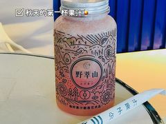 -野萃山·潮汕厚果汁(十亩地店)
