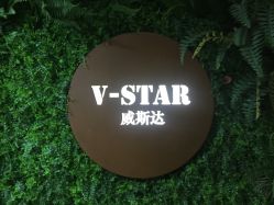 点击看大图 -V-STAR威斯达•高级私人定制
